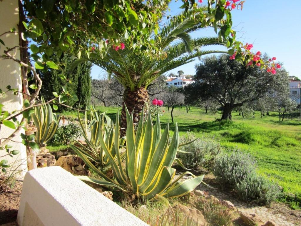 Quinta Mimosa Hotel Loulé Camera foto